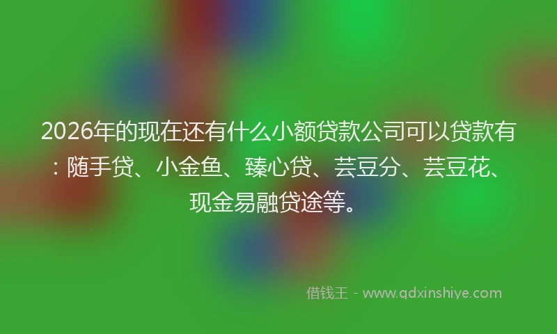 2026年的现在还有什么小额贷款公司可以贷款有：随手贷、小金鱼、臻心贷、芸豆分、芸豆花、现金易融贷途等。