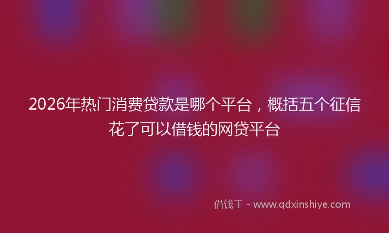 2026年热门消费贷款是哪个平台，概括五个征信花了可以借钱的网贷平台