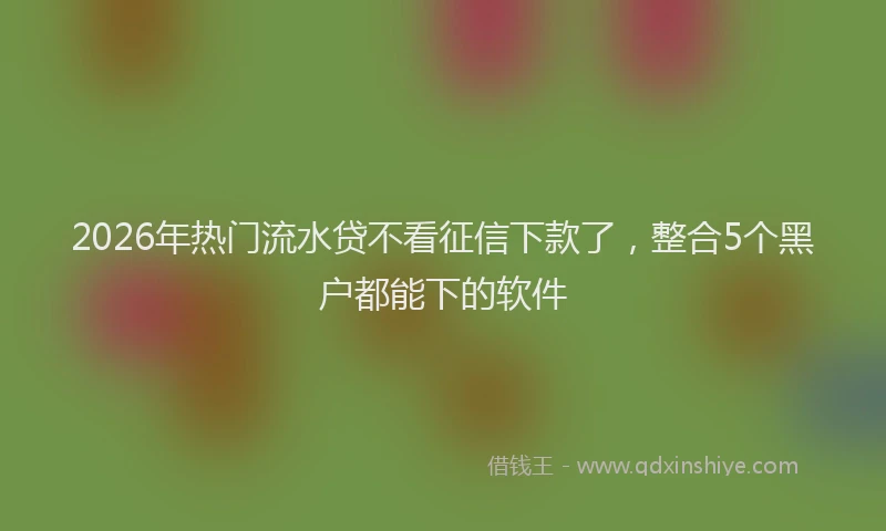 2026年热门流水贷不看征信下款了，整合5个黑户都能下的软件