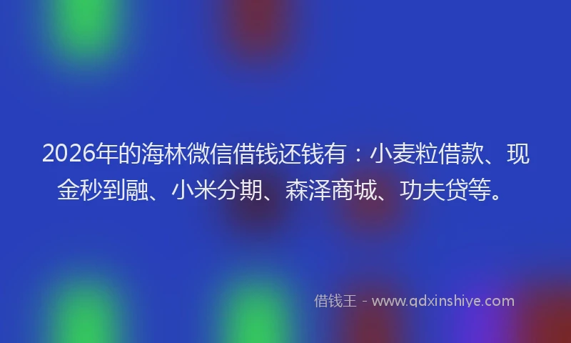 2026年的海林微信借钱还钱有：小麦粒借款、现金秒到融、小米分期、森泽商城、功夫贷等。