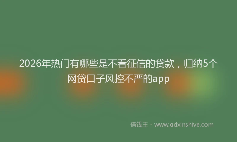 2026年热门有哪些是不看征信的贷款，归纳5个网贷口子风控不严的app