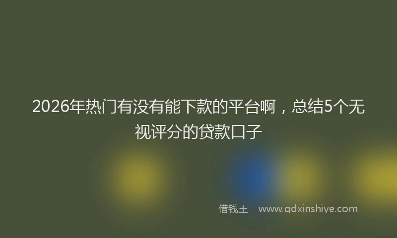 2026年热门有没有能下款的平台啊,总结5个无视评分的贷款口子