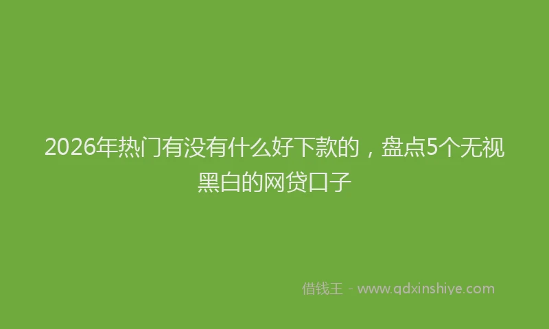 2026年热门有没有什么好下款的，盘点5个无视黑白的网贷口子