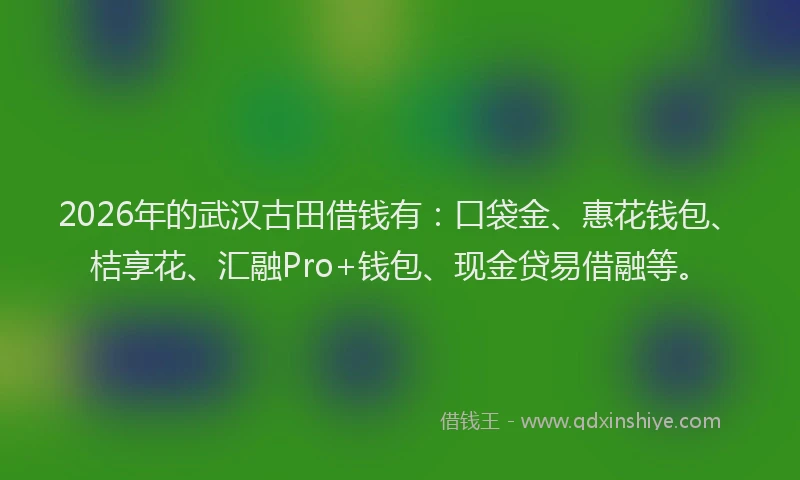 2026年的武汉古田借钱有：口袋金、惠花钱包、桔享花、汇融Pro+钱包、现金贷易借融等。