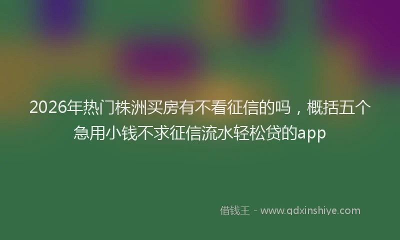 2026年热门株洲买房有不看征信的吗，概括五个急用小钱不求征信流水轻松贷的app