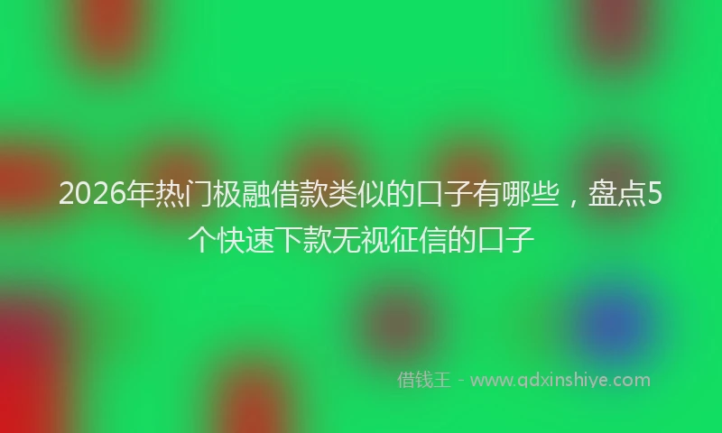 2026年热门极融借款类似的口子有哪些，盘点5个快速下款无视征信的口子