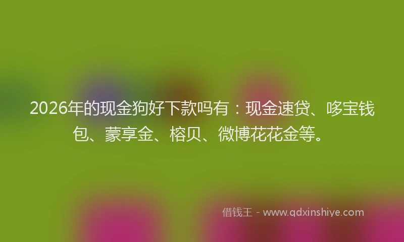 2026年的现金狗好下款吗有：现金速贷、哆宝钱包、蒙享金、榕贝、微博花花金等。