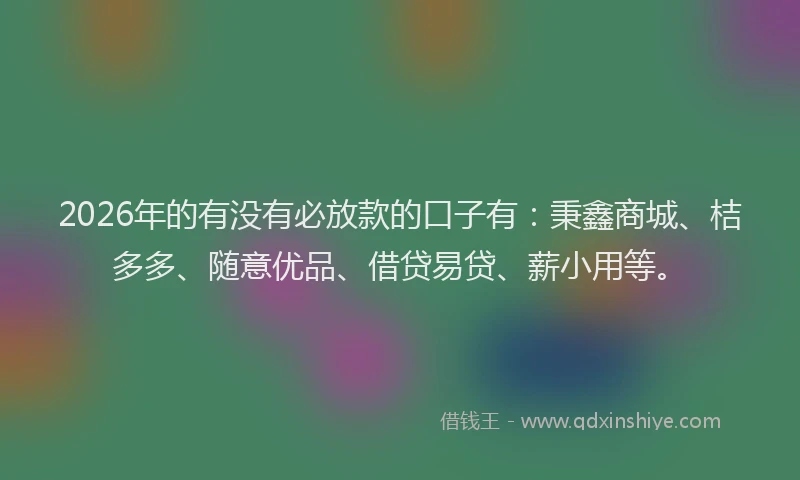 2026年的有没有必放款的口子有：秉鑫商城、桔多多、随意优品、借贷易贷、薪小用等。
