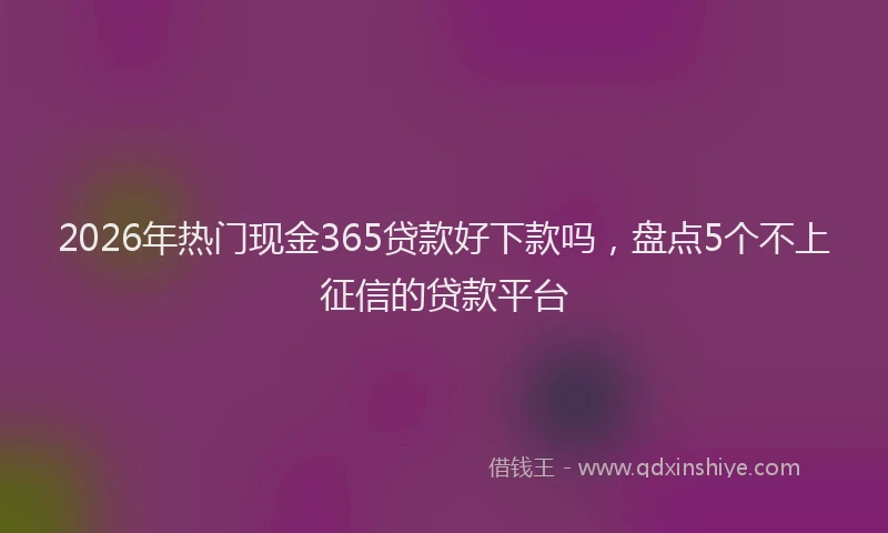 2026年热门现金365贷款好下款吗，盘点5个不上征信的贷款平台