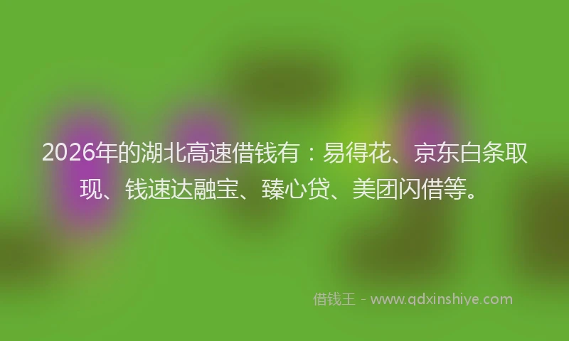 2026年的湖北高速借钱有：易得花、京东白条取现、钱速达融宝、臻心贷、美团闪借等。