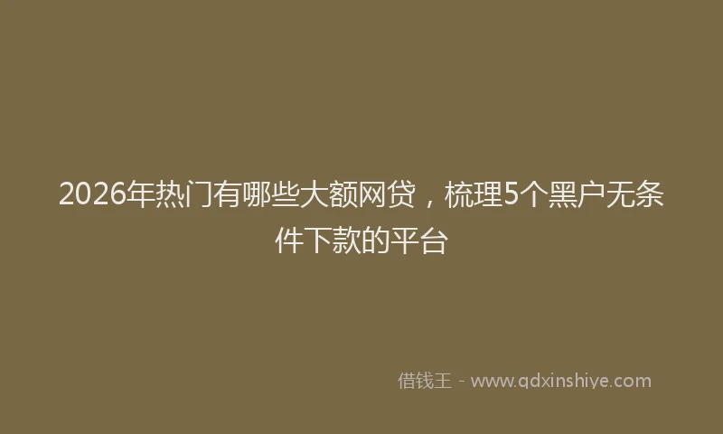 2026年热门有哪些大额网贷，梳理5个黑户无条件下款的平台