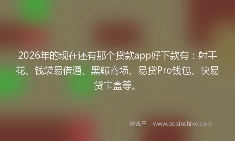 2026年的现在还有那个贷款app好下款有：射手花、钱袋易借通、黑鲸商场、易贷Pro钱包、快易贷宝盒等。