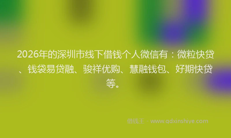 2026年的深圳市线下借钱个人微信有：微粒快贷、钱袋易贷融、骏祥优购、慧融钱包、好期快贷等。