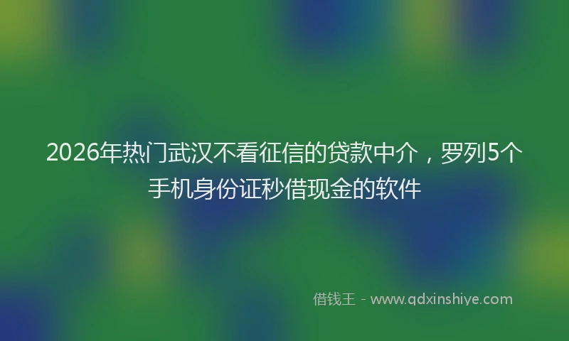 2026年热门武汉不看征信的贷款中介，罗列5个手机身份证秒借现金的软件