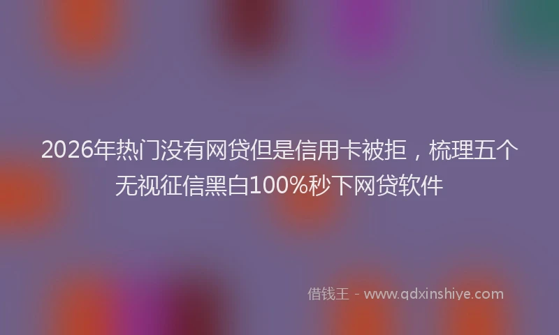 2026年热门没有网贷但是信用卡被拒，梳理五个无视征信黑白100%秒下网贷软件