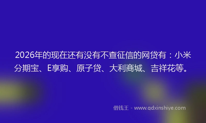 2026年的现在还有没有不查征信的网贷有：小米分期宝、E享购、原子贷、大利商城、吉祥花等。