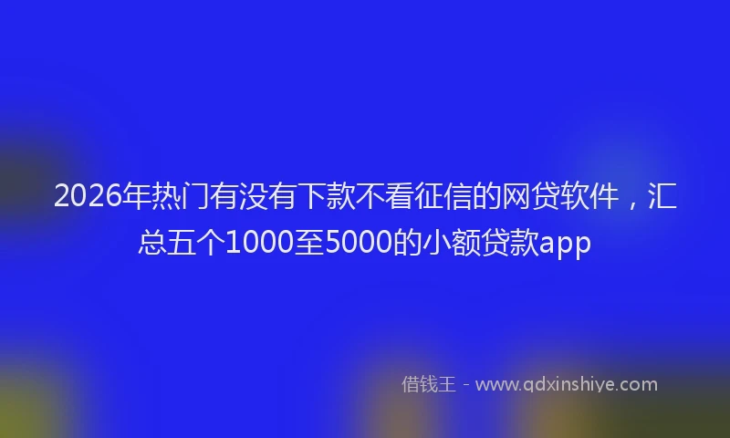 2026年热门有没有下款不看征信的网贷软件，汇总五个1000至5000的小额贷款app
