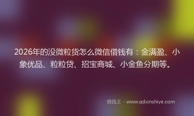 2026年的没微粒货怎么微信借钱有：金满盈、小象优品、粒粒贷、招宝商城、小金鱼分期等。