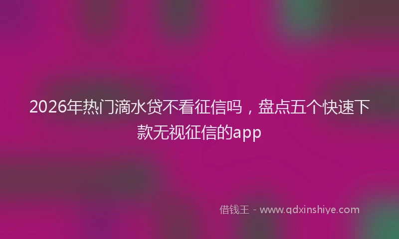 2026年热门滴水贷不看征信吗，盘点五个快速下款无视征信的app