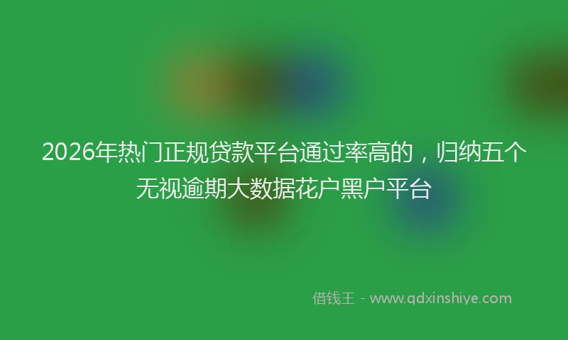 2026年热门正规贷款平台通过率高的，归纳五个无视逾期大数据花户黑户平台