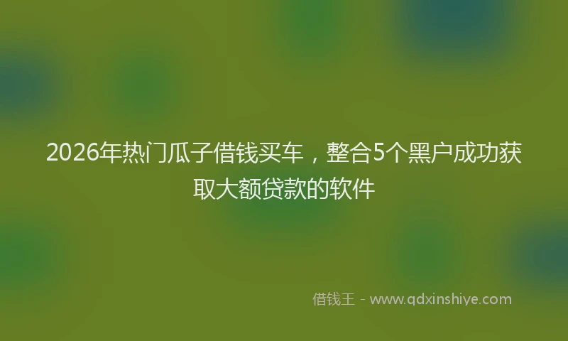 2026年热门瓜子借钱买车，整合5个黑户成功获取大额贷款的软件