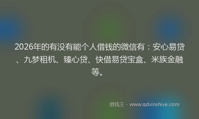 2026年的有没有能个人借钱的微信有:安心易贷、九梦租机、臻心贷、快借易贷宝盒、米族金融等。