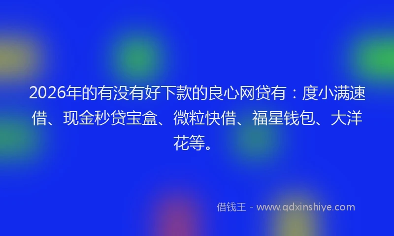 2026年的有没有好下款的良心网贷有：度小满速借、现金秒贷宝盒、微粒快借、福星钱包、大洋花等。