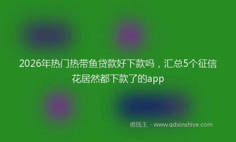 2026年热门热带鱼贷款好下款吗，汇总5个征信花居然都下款了的app