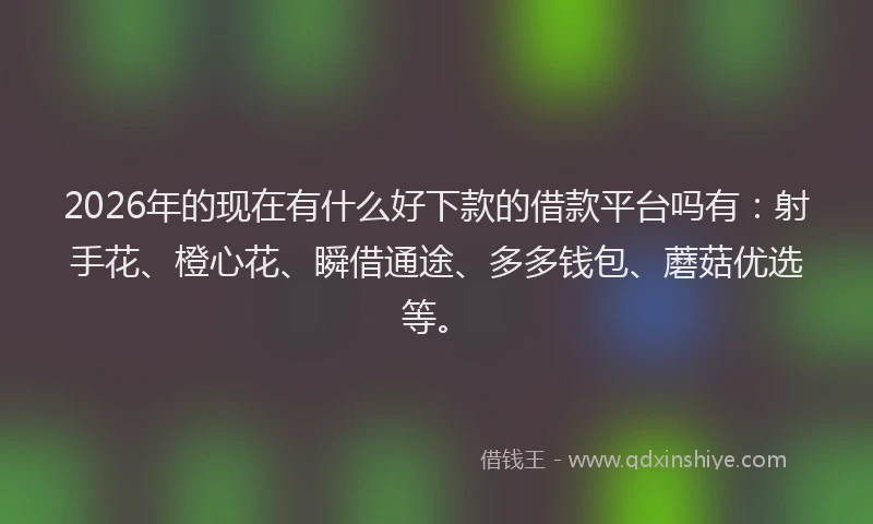 2026年的现在有什么好下款的借款平台吗有：射手花、橙心花、瞬借通途、多多钱包、蘑菇优选等。