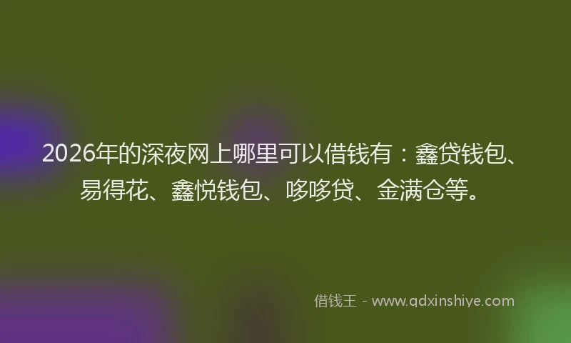 2026年的深夜网上哪里可以借钱有：鑫贷钱包、易得花、鑫悦钱包、哆哆贷、金满仓等。