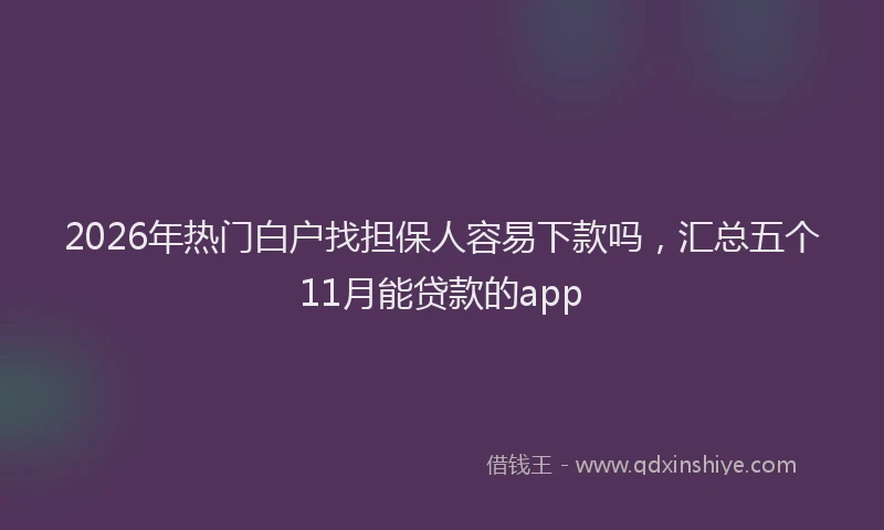 2026年热门白户找担保人容易下款吗，汇总五个11月能贷款的app