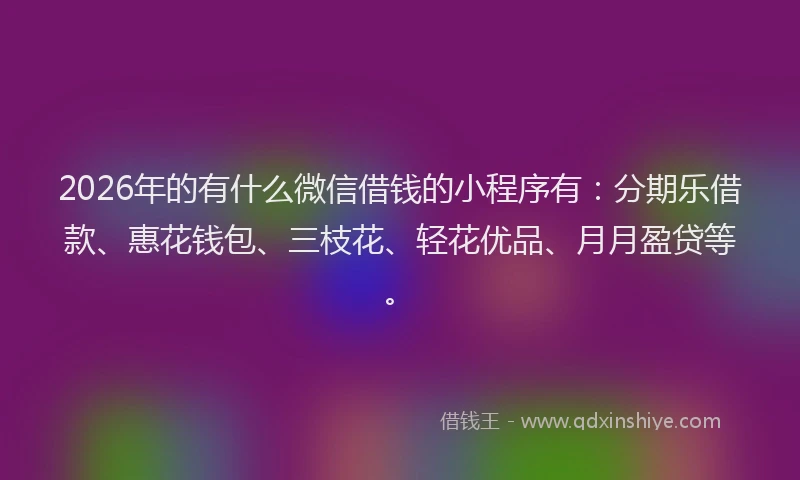 2026年的有什么微信借钱的小程序有：分期乐借款、惠花钱包、三枝花、轻花优品、月月盈贷等。