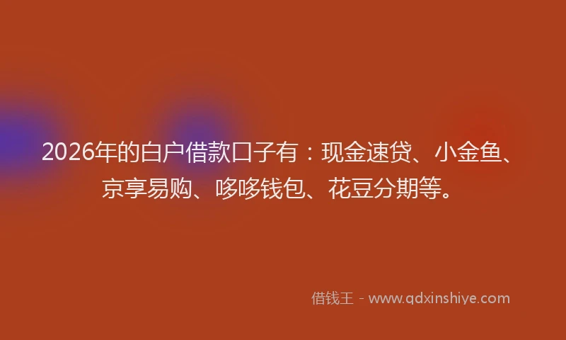2026年的白户借款口子有:现金速贷、小金鱼、京享易购、哆哆钱包、花豆分期等。