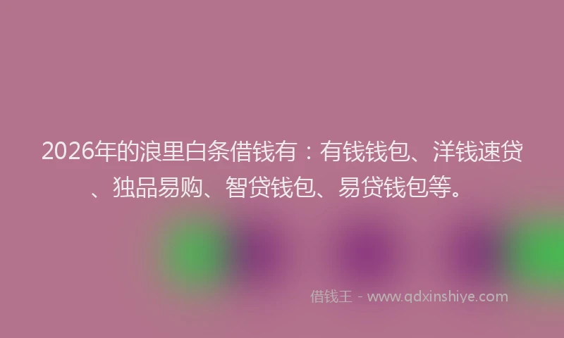 2026年的浪里白条借钱有:有钱钱包、洋钱速贷、独品易购、智贷钱包、易贷钱包等。