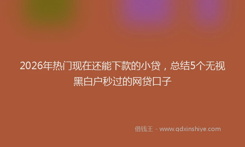 2026年热门现在还能下款的小贷，总结5个无视黑白户秒过的网贷口子