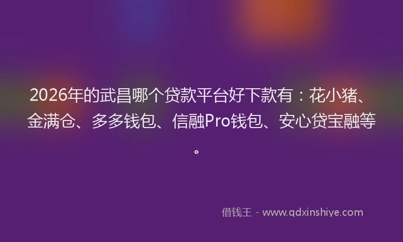 2026年的武昌哪个贷款平台好下款有：花小猪、金满仓、多多钱包、信融Pro钱包、安心贷宝融等。