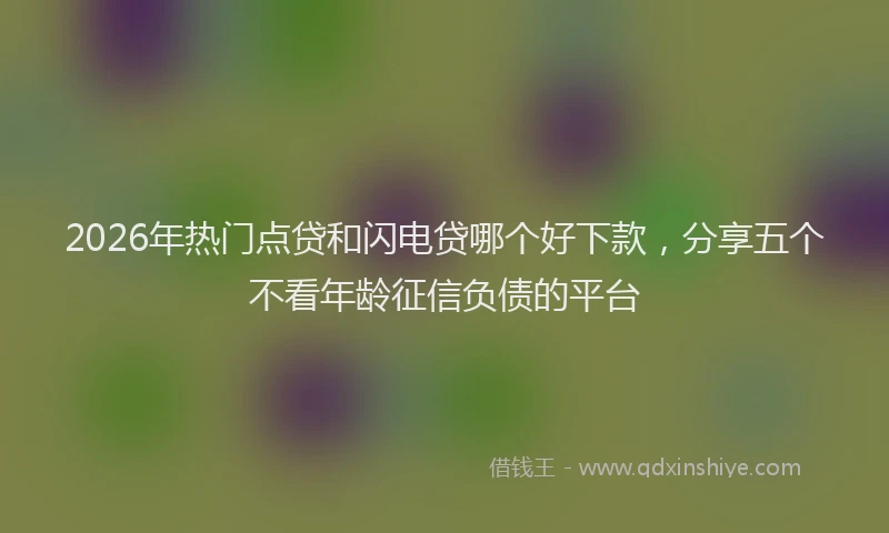 2026年热门点贷和闪电贷哪个好下款，分享五个不看年龄征信负债的平台