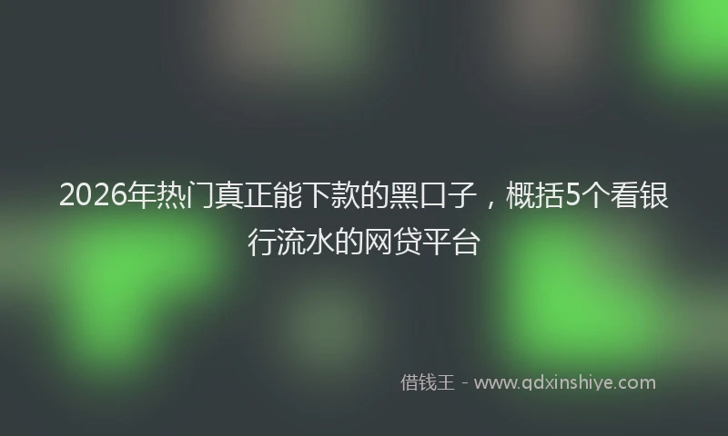 2026年热门真正能下款的黑口子，概括5个看银行流水的网贷平台
