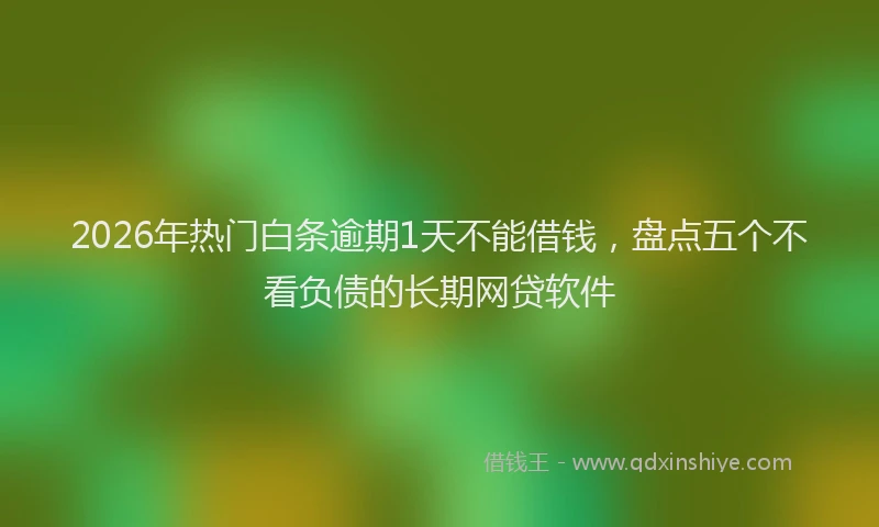 2026年热门白条逾期1天不能借钱，盘点五个不看负债的长期网贷软件