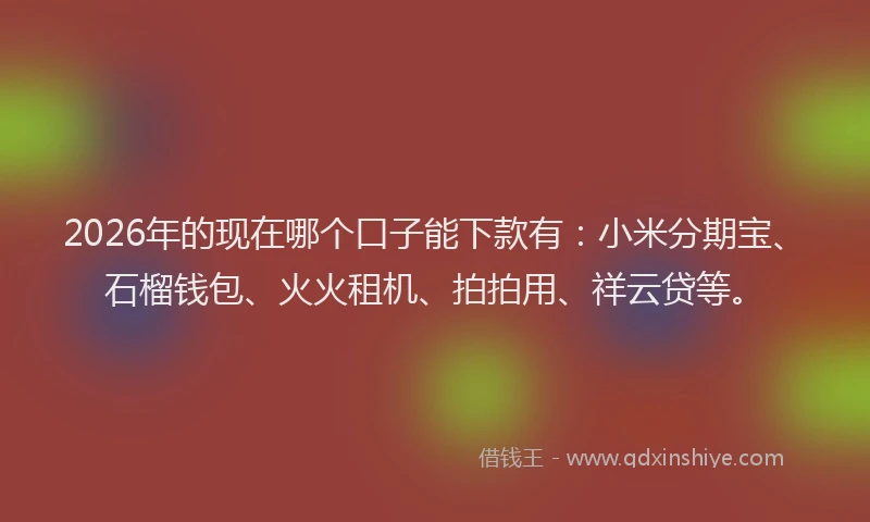 2026年的现在哪个口子能下款有：小米分期宝、石榴钱包、火火租机、拍拍用、祥云贷等。