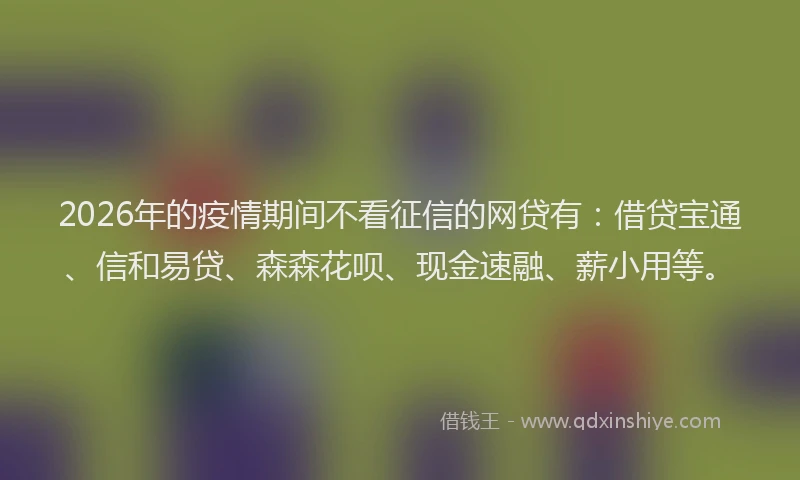 2026年的疫情期间不看征信的网贷有：借贷宝通、信和易贷、森森花呗、现金速融、薪小用等。