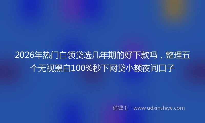 2026年热门白领贷选几年期的好下款吗，整理五个无视黑白100%秒下网贷小额夜间口子
