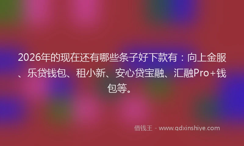 2026年的现在还有哪些条子好下款有：向上金服、乐贷钱包、租小新、安心贷宝融、汇融Pro+钱包等。