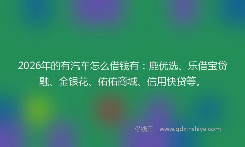2026年的有汽车怎么借钱有：鹿优选、乐借宝贷融、金银花、佑佑商城、信用快贷等。