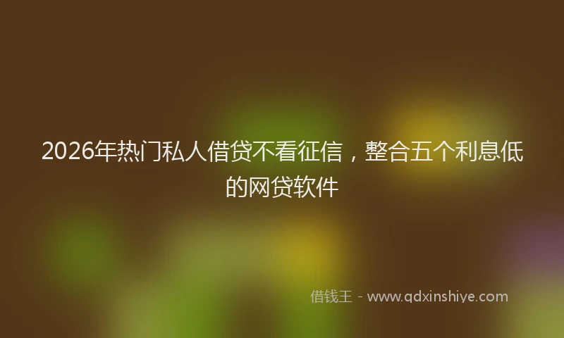 2026年热门私人借贷不看征信，整合五个利息低的网贷软件