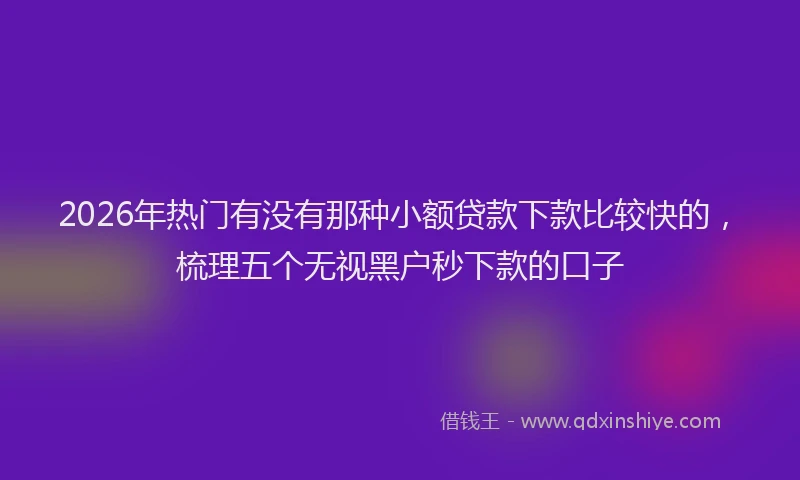 2026年热门有没有那种小额贷款下款比较快的，梳理五个无视黑户秒下款的口子