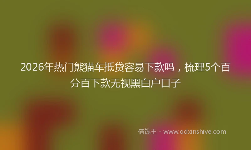 2026年热门熊猫车抵贷容易下款吗，梳理5个百分百下款无视黑白户口子