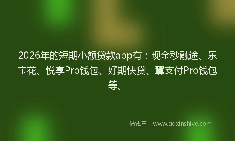 2026年的短期小额贷款app有：现金秒融途、乐宝花、悦享Pro钱包、好期快贷、翼支付Pro钱包等。