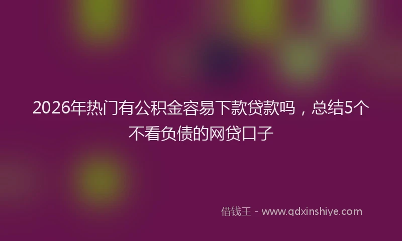 2026年热门有公积金容易下款贷款吗，总结5个不看负债的网贷口子