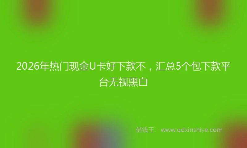 2026年热门现金U卡好下款不，汇总5个包下款平台无视黑白